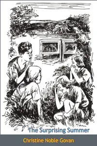 The Surprising Summer_cover