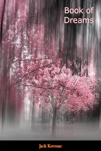 Book of Dreams_cover