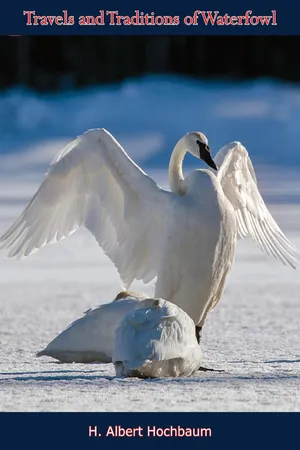 Travels and Traditions of Waterfowl