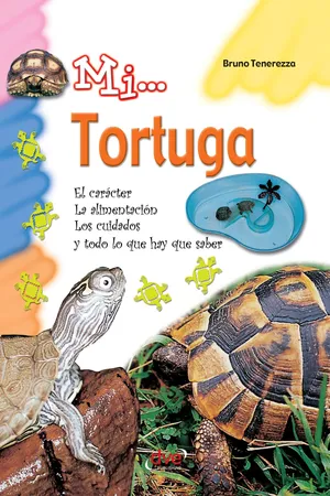 Mi... Tortuga