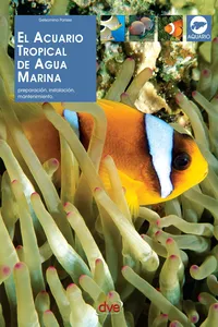 El acuario tropical de agua marina_cover