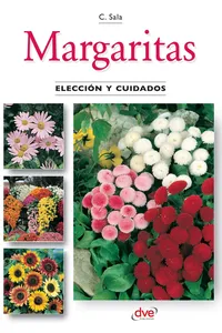 Margaritas - Elección y cuidados_cover