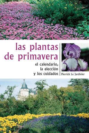 Las plantas de primavera. El calendario, la elección y los cuidados