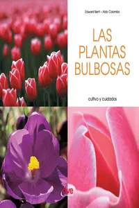 Las plantas bulbosas - Cultivo y cuidados_cover