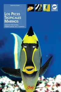 Los peces tropicales marinos_cover