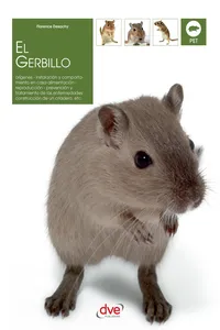 El gerbillo_cover