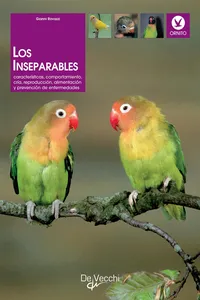 Los inseparables_cover