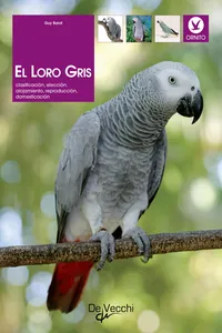 El loro gris_cover