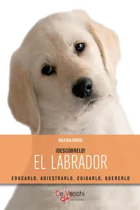 El labrador_cover