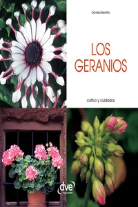 Los geranios - Cultivo y cuidados_cover