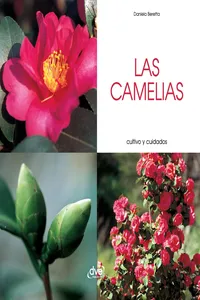 Las camelias - Cultivo y cuidados_cover