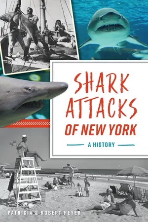 Shark Attacks of New York