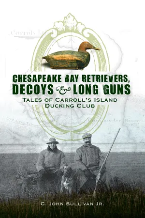 Chesapeake Bay Retrievers, Decoys & Long Guns