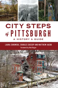 City Steps of Pittsburgh_cover
