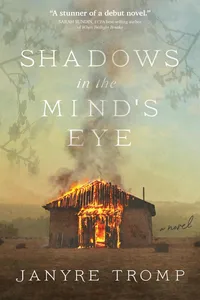 Shadows in the Mind's Eye_cover