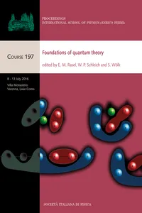 Foundations of Quantum Theory_cover