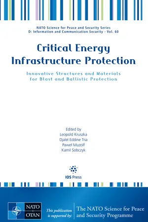 Critical Energy Infrastructure Protection