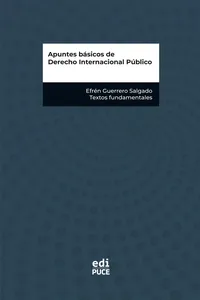 Apuntes básicos de Derecho Internacional Público_cover