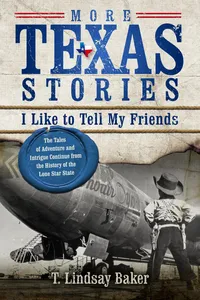 More Texas Stories I Like to Tell My Friends_cover