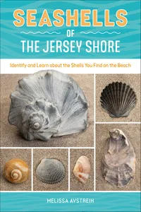 Seashells of the Jersey Shore_cover