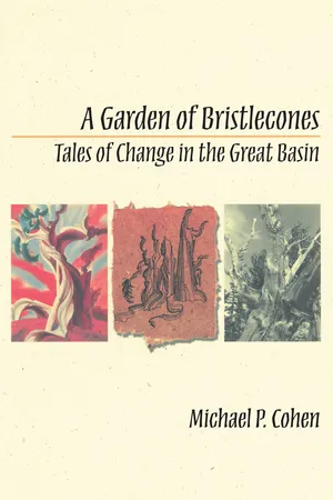 A Garden Of Bristlecones