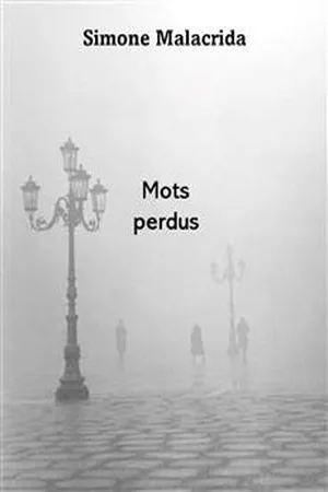 Mots perdus