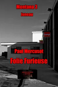 Folie furieuse_cover