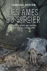 Les âmes du sorcier_cover