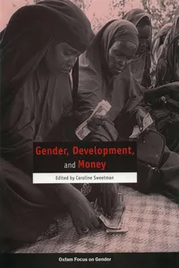Gender, Development, and Money_cover
