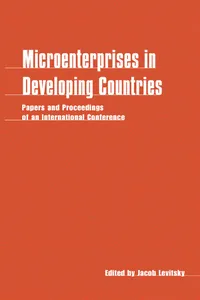 Microenterprises in Developing Countries_cover