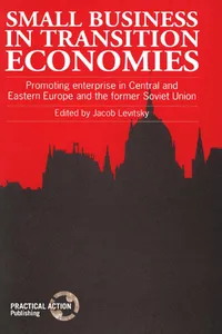 Small Business in Transition Economies_cover