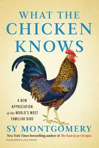 What the Chicken Knows_cover