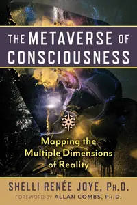 The Metaverse of Consciousness_cover