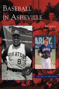 Baseball in Asheville_cover