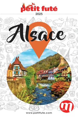 Guide Alsace 2025 Petit Futé