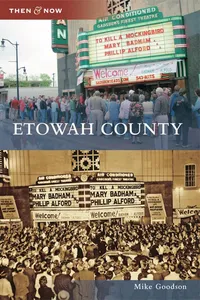 Etowah County_cover