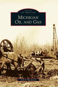 Michigan Oil and Gas_cover