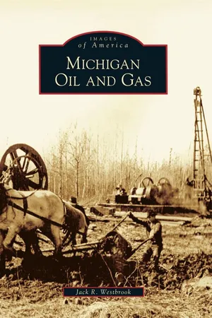 Michigan Oil and Gas