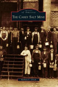 The Carey Salt Mine_cover