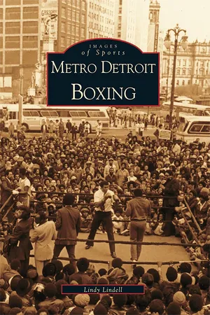 Metro Detroit Boxing
