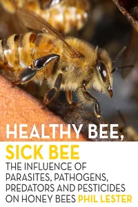 Healthy Bee, Sick Bee_cover