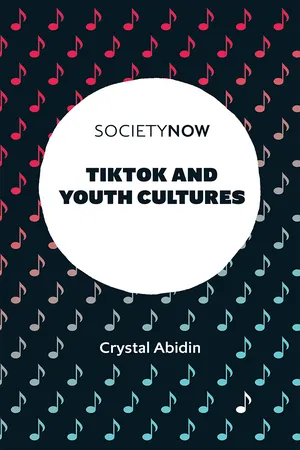 TikTok and Youth Cultures