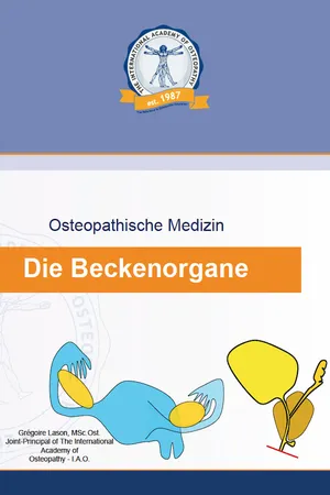 Die Beckenorgane