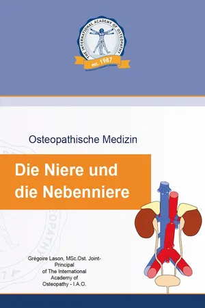 Die Niere und die Nebenniere