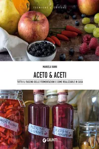 Aceto & aceti_cover