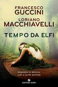 Tempo da elfi_cover