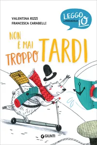 Non è mai troppo tardi_cover