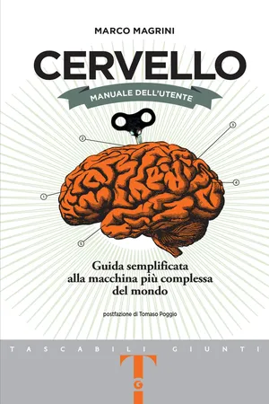 Cervello. Manuale dell'utente