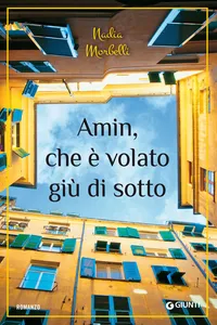 Amin, che è volato giù di sotto_cover