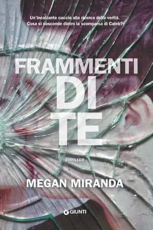 Frammenti di te